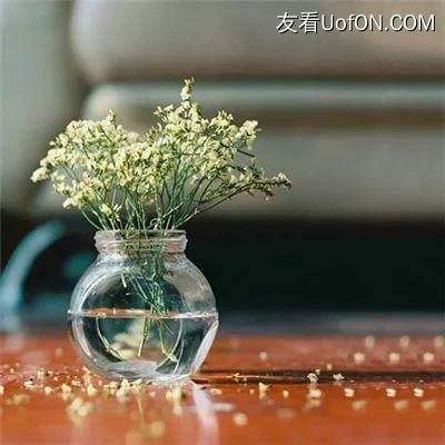 贪玩蓝月变态版古天乐下载