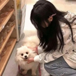 4399梦幻恋舞手机版下载